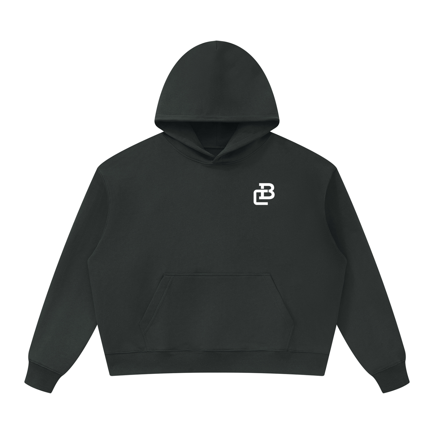 Unisex Oversized Heavyweight Hoodie