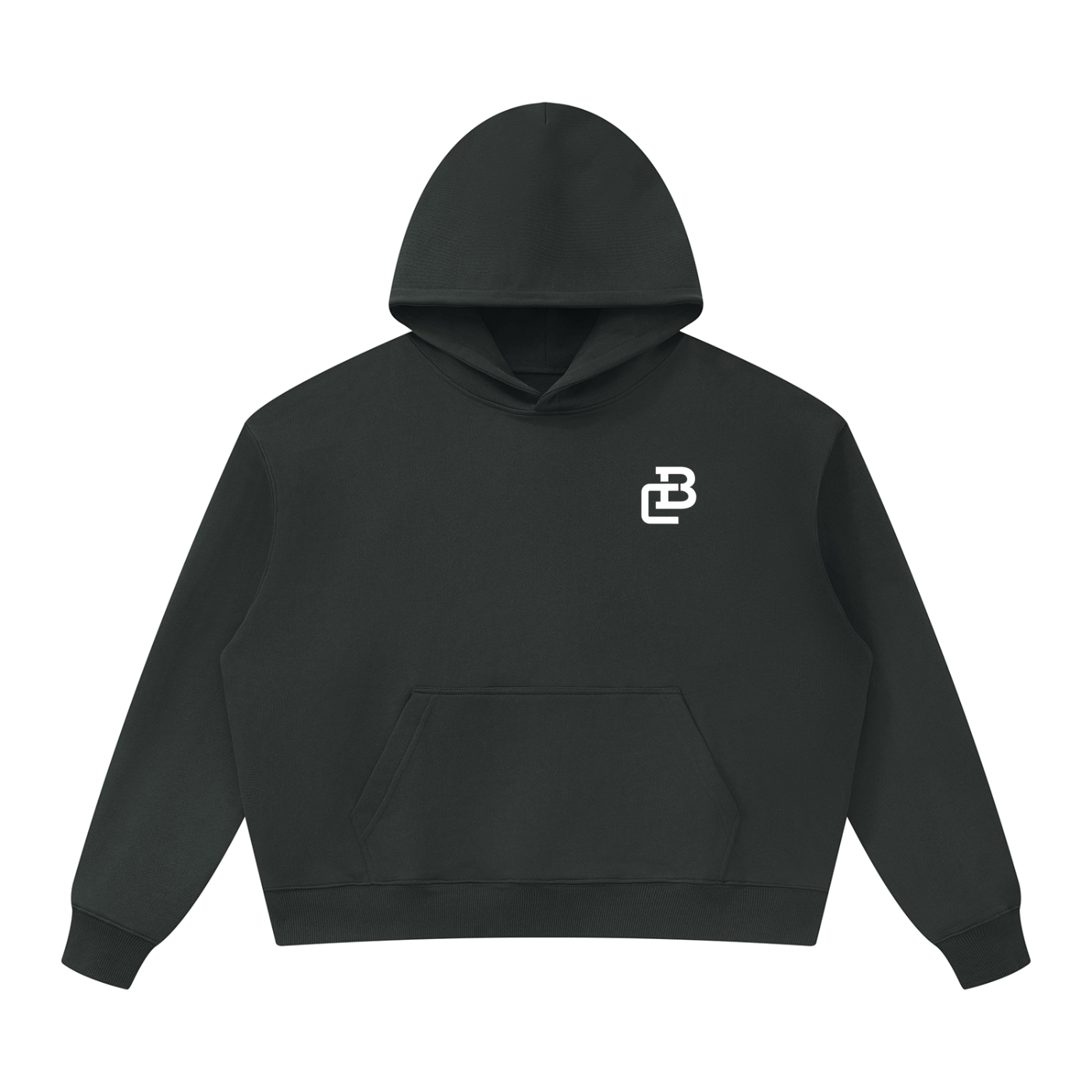 Unisex Oversized Heavyweight Hoodie
