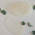 Loofah